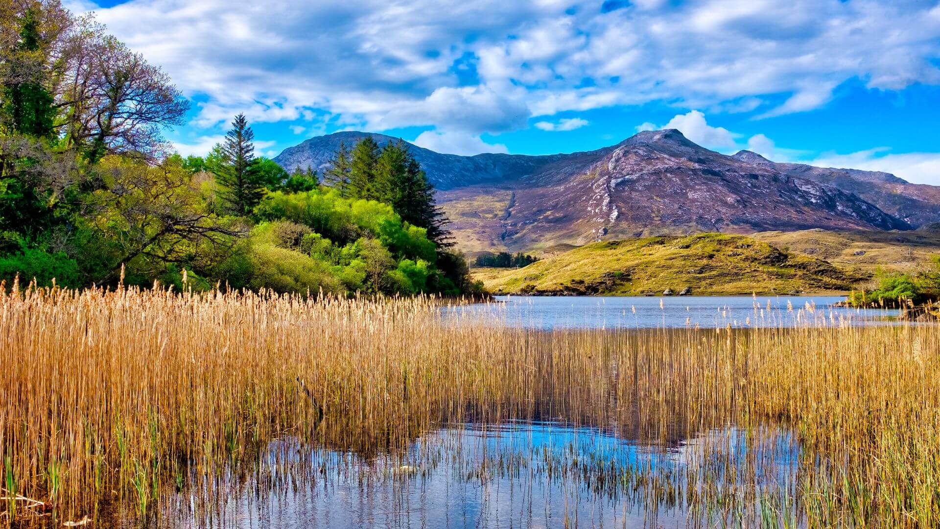 Tour organizzati in Irlanda - le verdi colline di Connemara